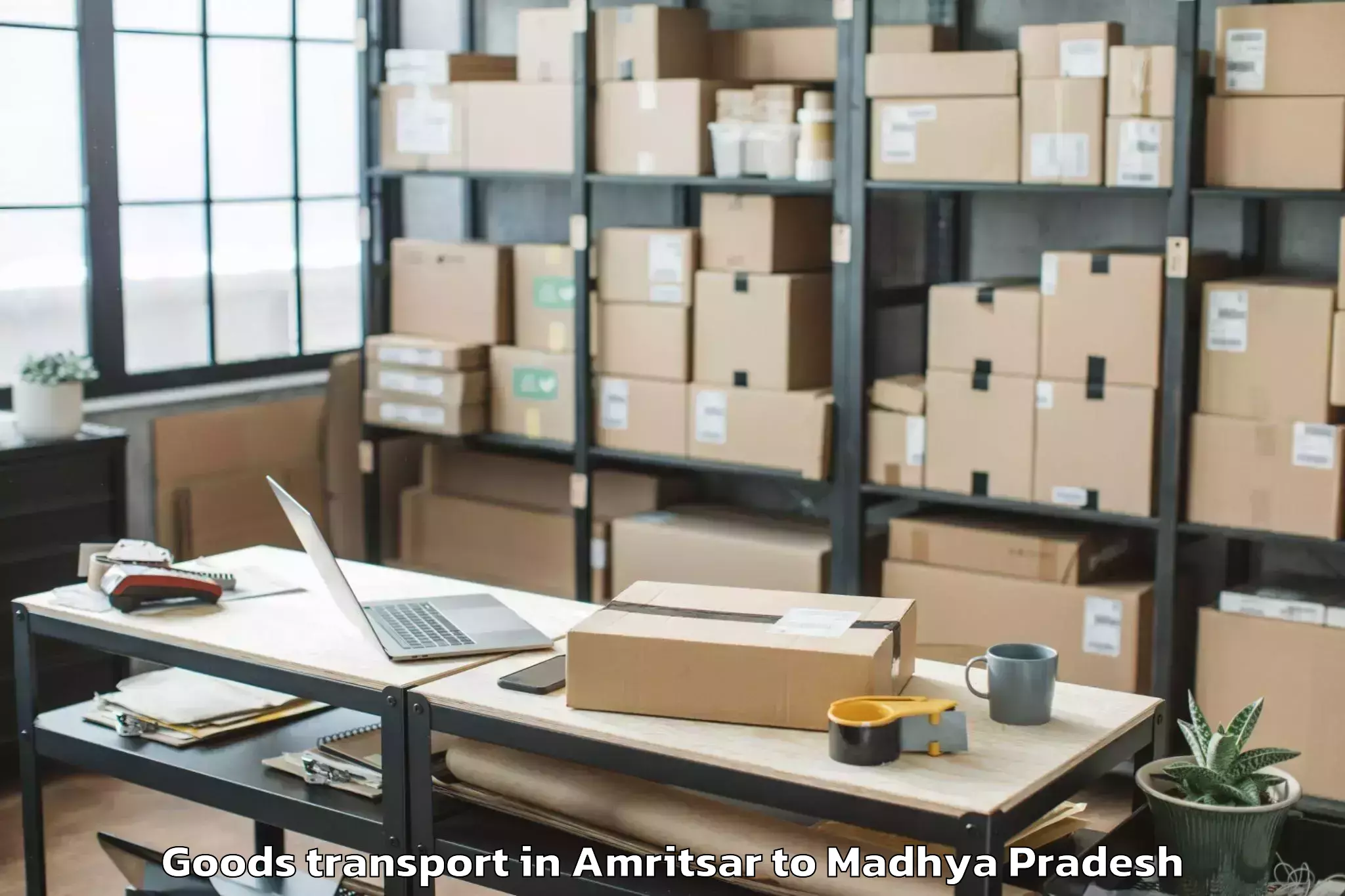 Professional Amritsar to Shajapur Goods Transport